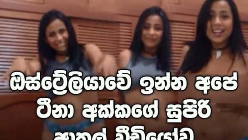 Sri Lankan Sexi Videos Animale