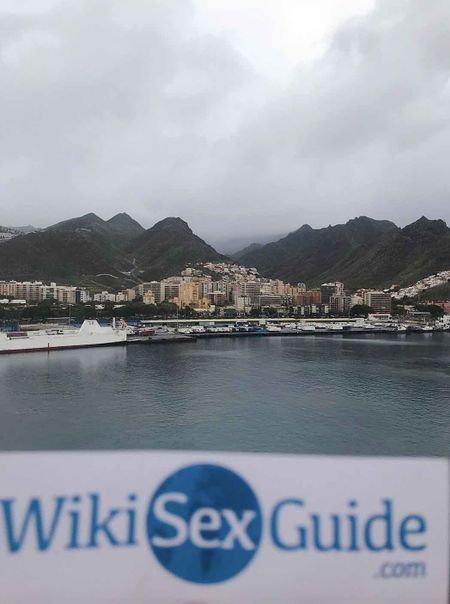 Euro Orgy Mountains - Tenerife - WikiSexGuide - International World Sex Guide
