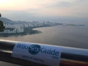 WikiSexGuide Rio de Janeiro Main page.jpg
